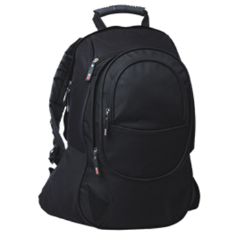 Picture of Voyager Backpack