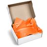Artful Tissue Paper - Pack Of 10 Sheets, PG-AM-415-B