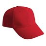 Polyester 6 Panel Cap, CAP1007