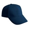 Polyester 6 Panel Cap, CAP1007