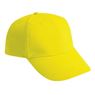 Polyester 6 Panel Cap, CAP1007