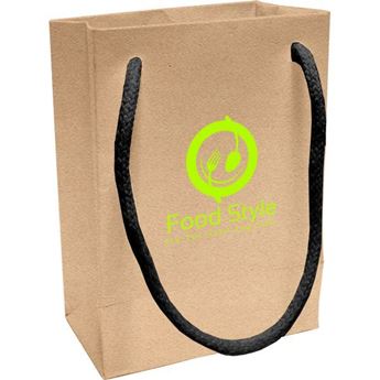 Carid Eco Gift Bag With 1 Col, PAP083