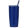 Altitude Daytona Plastic 2-in-1 Double-Wall Tumbler & Straw - 600ml, DR-AL-246-B