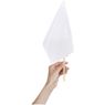 Champion Small Hand Flag 300mm X 200mm, DISPLAY-1010