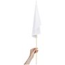 Champion Medium Hand Flag 450mm X 300mm, DISPLAY-1015