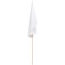 Champion Medium Hand Flag 450mm X 300mm, DISPLAY-1015