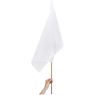 Champion Large Hand Flag 900mm X 600mm, DISPLAY-1020