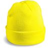 Beacon Hi-Viz Beanie, ALT-2002