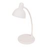 Erie Book Lamp, GIFT23902