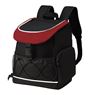 Fesor Backpack Cooler, COOL23731