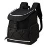 Fesor Backpack Cooler, COOL23731