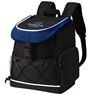 Fesor Backpack Cooler, COOL23731