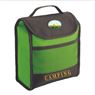 Foldable Cooler Bag, COOL633