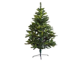 Tall Evergreen Christmas Tree, P2699