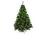 Tall Evergreen Christmas Tree, P2699