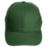 Essential Anti-Fade 6 Panel Cap, EAF