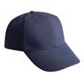 6 Panel Heavy Brush, CAP1006