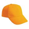 6 Panel Heavy Brush, CAP1006