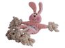 Dog Rope Chew Toy (Bunny), P2681B