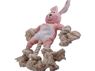 Dog Rope Chew Toy (Bunny), P2681B