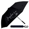 Tartan 2 Fold Umbrella, UMB23804