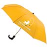 8 Panel Pop Up Umbrella, FAMU