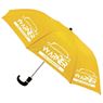 8 Panel Pop Up Umbrella, FAMU