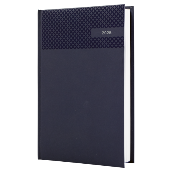 2025 A4 Velvet Touch Diamond Diary, BB3371