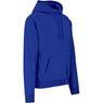 Mens Essential Hooded Sweater, ALT-EHD